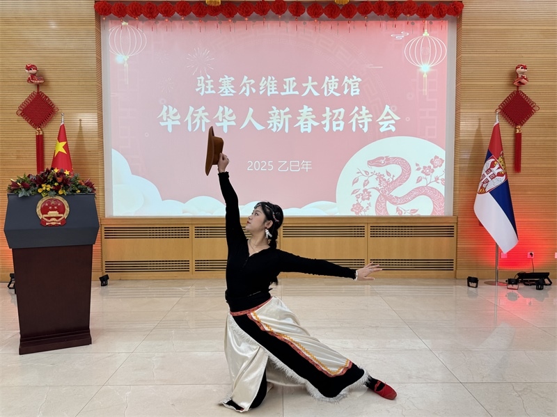 招待會現(xiàn)場表演。諾維薩德孔子學(xué)院供圖