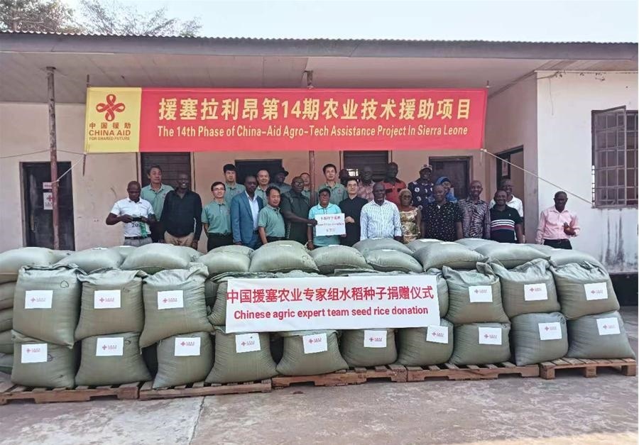 中國(guó)援塞拉利昂農(nóng)業(yè)專家組在塞南方省博城舉辦水稻種子捐贈(zèng)儀式。中國(guó)援塞農(nóng)業(yè)專家組供圖