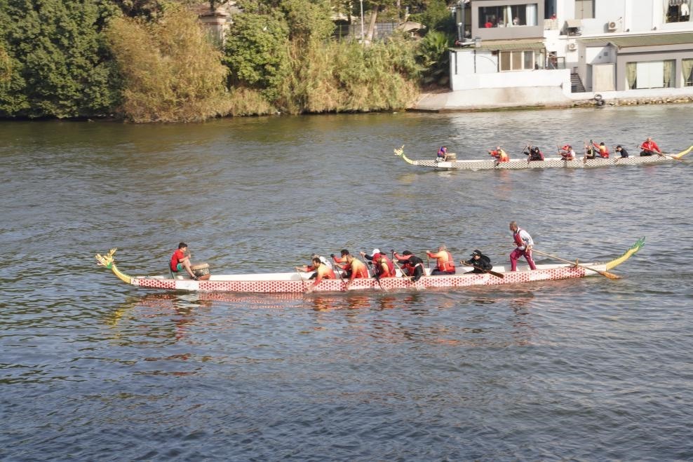 活動現(xiàn)場龍舟競技，共慶春節(jié)。開羅中國文化中心供圖