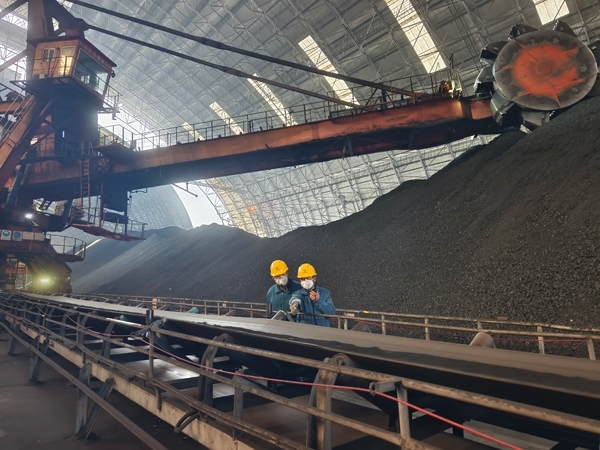 趙善國（右）和同事對電廠煤場進行巡檢。受訪者供圖