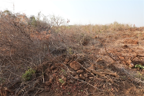 施工現場。張曉昆攝
