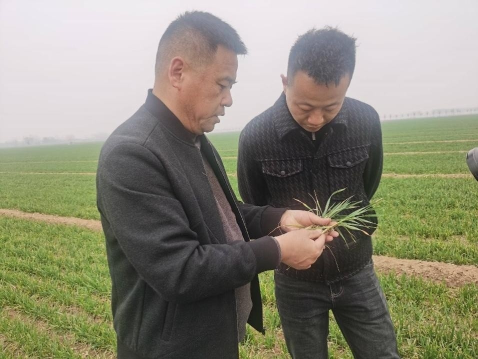 在山東濟(jì)寧汶上縣苑莊鎮(zhèn)，農(nóng)技員黃海龍對(duì)種糧大戶王振現(xiàn)場(chǎng)進(jìn)行春耕指導(dǎo)。人民網(wǎng)記者 車柯蒙攝