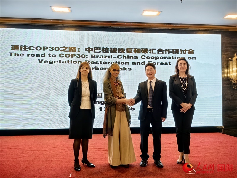 中國(guó)國(guó)家林業(yè)和草原局副局長(zhǎng)李云卿（右二）、巴西環(huán)境和氣候變化部部長(zhǎng)瑪麗娜·席爾瓦（左二）、巴西財(cái)政部副部長(zhǎng)羅熙丹（右一）、巴西駐華大使館公參樂(lè)美（左一）出席“通往COP30之路：中巴植樹造林和碳匯合作研討活動(dòng)”。人民網(wǎng)記者 符園園攝