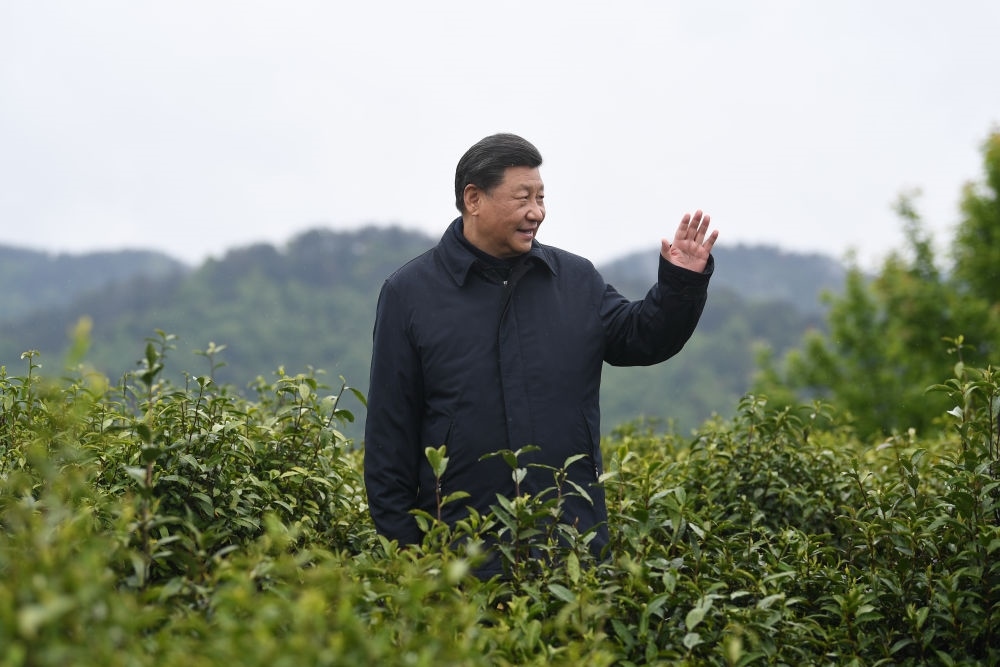 2020年4月21日，習(xí)近平總書(shū)記來(lái)到陜西安康市平利縣老縣鎮(zhèn)，在茶園考察脫貧攻堅(jiān)情況。新華社記者 燕雁 攝