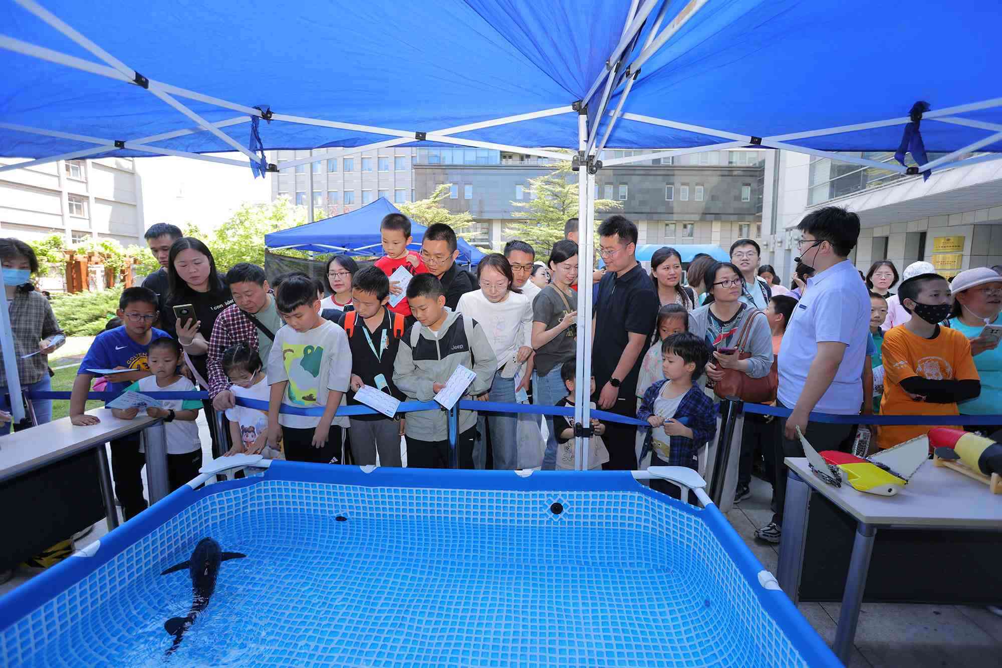 水下仿生機器魚在活動現(xiàn)場大受歡迎。中國科學(xué)院自動化研究所供圖